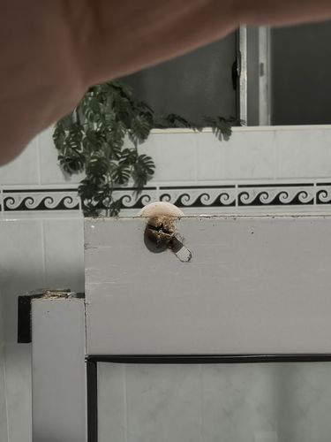 1000015261.jpg 1000015261.jpg