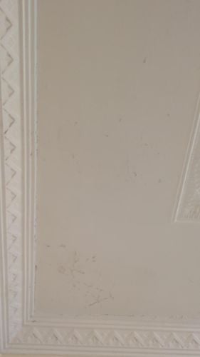 tmp_76e590a3-d4a3-4a9a-8675-3d885284d5b4.jpeg tmp_76e590a3-d4a3-4a9a-8675-3d885284d5b4.jpeg