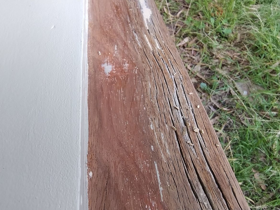 IMG_20250101_164527590.jpg IMG_20250101_164527590.jpg