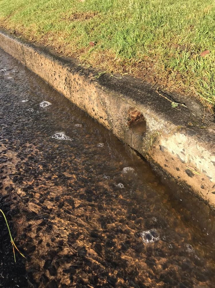 51 15-01-2022.jpg 51 15-01-2022.jpg