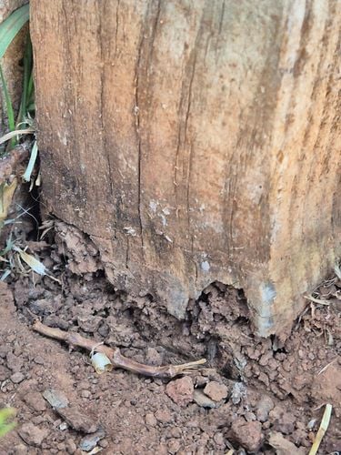 20251217_191449.jpg 20251217_191449.jpg