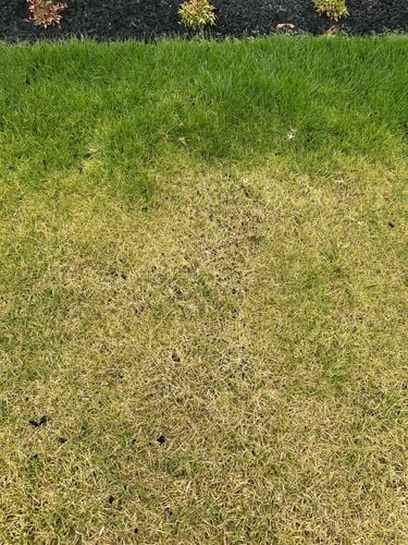 IMG_8887.jpeg IMG_8887.jpeg