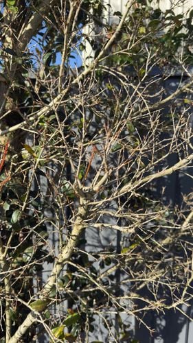 IMG_0889.jpeg IMG_0889.jpeg