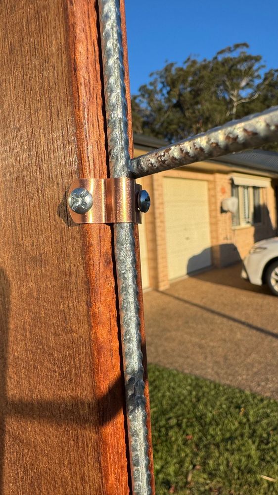 IMG_9805.jpg IMG_9805.jpg