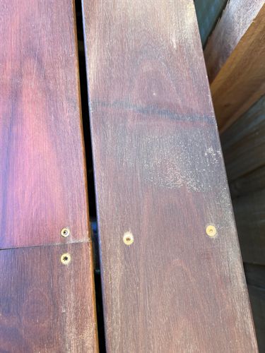 IMG_8456.jpeg IMG_8456.jpeg