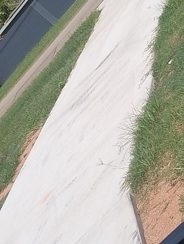 IMG_20250119_102531.jpg IMG_20250119_102531.jpg