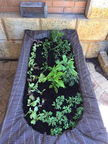 95D2124C-888A-4EBA-900A-9E04FEC177D0.jpeg 95D2124C-888A-4EBA-900A-9E04FEC177D0.jpeg