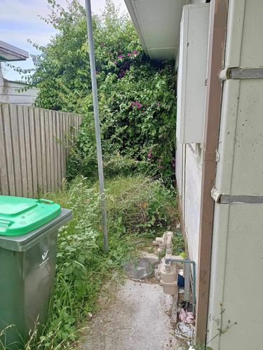 IMG_0089.jpeg IMG_0089.jpeg