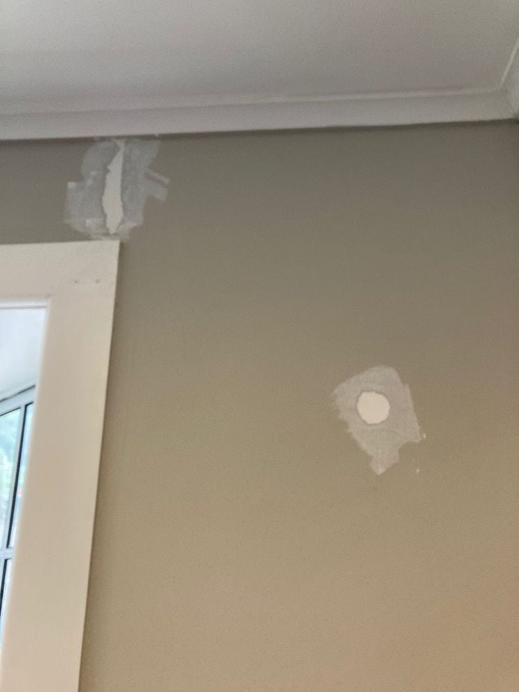 IMG_0234.jpeg IMG_0234.jpeg