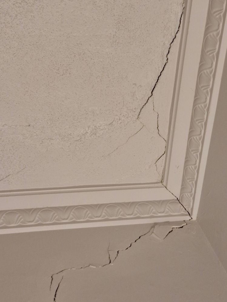 20231230_205007.jpg 20231230_205007.jpg