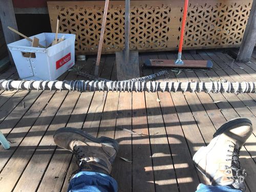 96 16-09-2024.jpg 96 16-09-2024.jpg