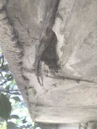 IMG_9585.jpg IMG_9585.jpg