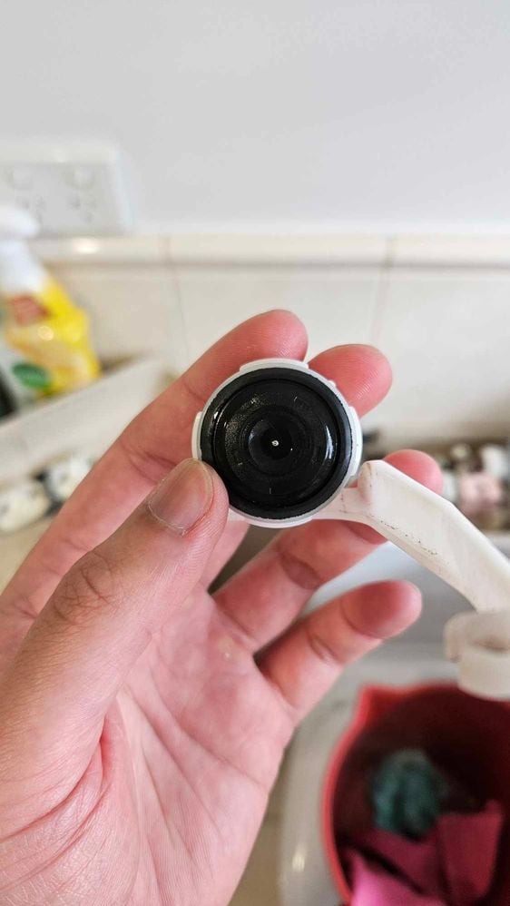 seal 1.jpg seal 1.jpg