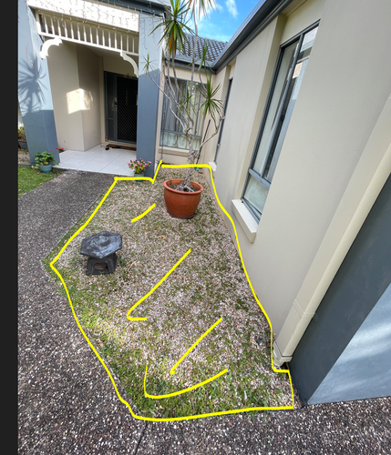 Sugar_5-1738188013978.png Sugar_5-1738188013978.png