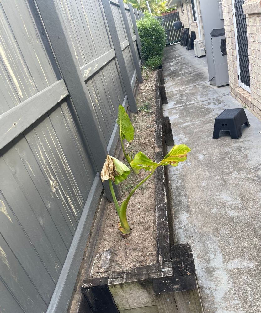 IMG_0047.jpg IMG_0047.jpg