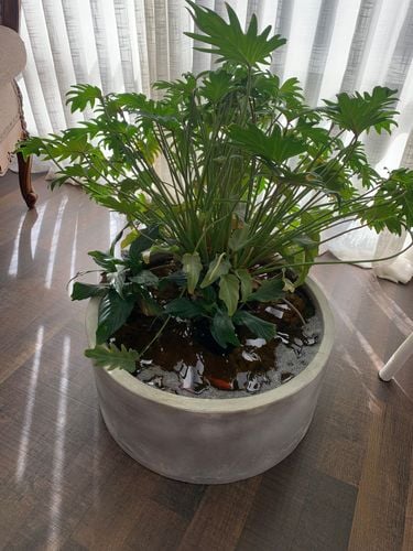 A6AEEBC4-A0E4-4D76-80CE-3B2FE85961C1.jpeg A6AEEBC4-A0E4-4D76-80CE-3B2FE85961C1.jpeg