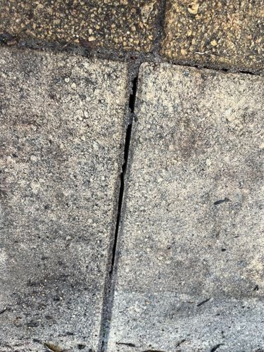 IMG_2503.jpeg IMG_2503.jpeg