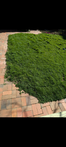 1000006335.png 1000006335.png