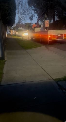 JoeAzza_1-1752132406217.jpeg JoeAzza_1-1752132406217.jpeg