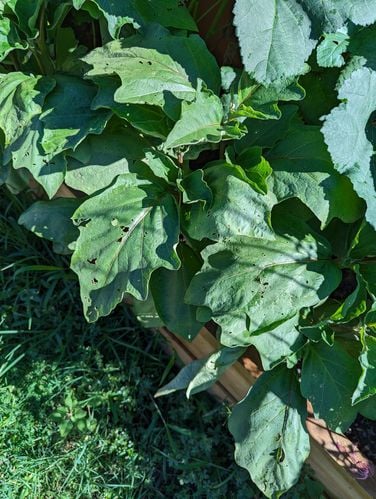 1000033176.jpg 1000033176.jpg