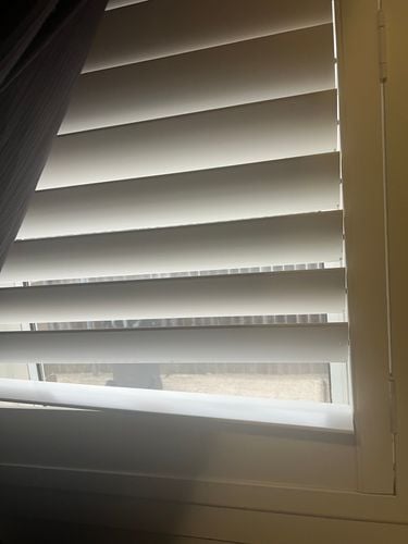 IMG_7739.jpeg IMG_7739.jpeg