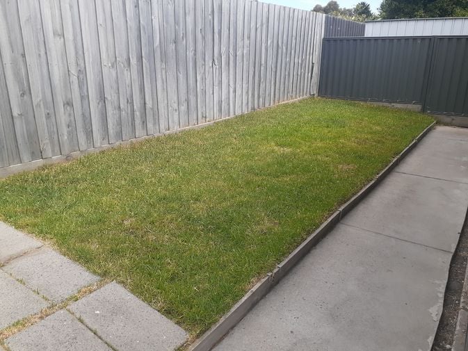 20250111_160007.jpg 20250111_160007.jpg