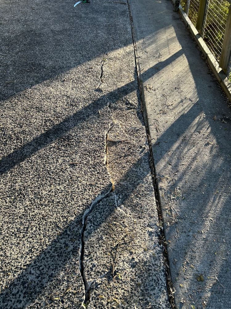 IMG_1117.jpg IMG_1117.jpg