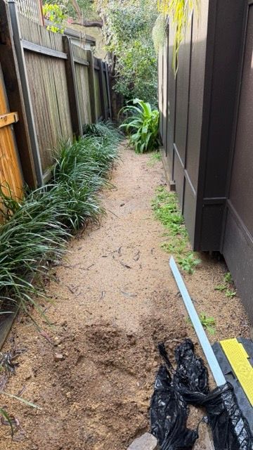 B-IMG_7660 Medium.jpeg B-IMG_7660 Medium.jpeg