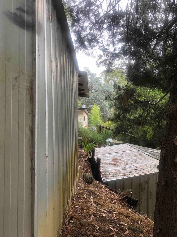 IMG_8497.jpeg IMG_8497.jpeg