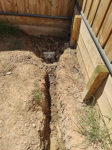 IMG_20241210_104512.jpg IMG_20241210_104512.jpg