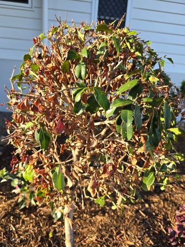 17326920130987856130126680305768.jpg 17326920130987856130126680305768.jpg