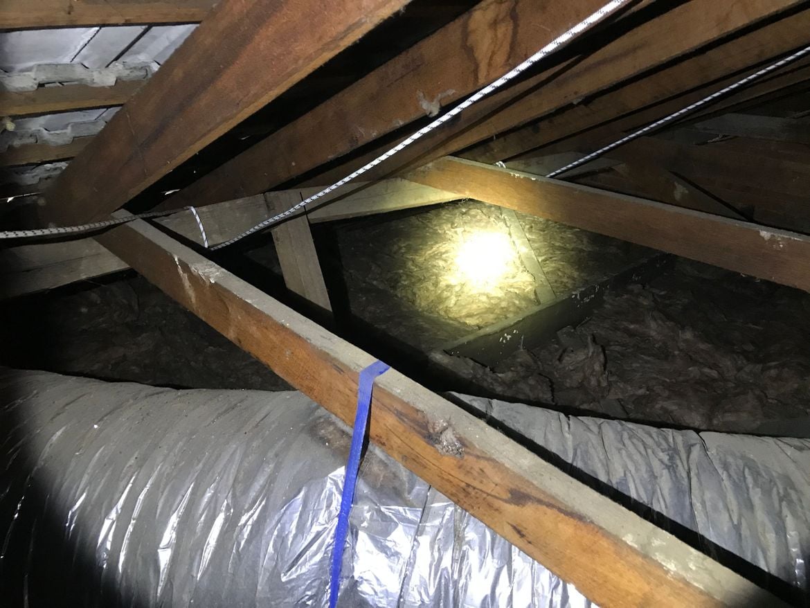 IMG_5990.JPG IMG_5990.JPG