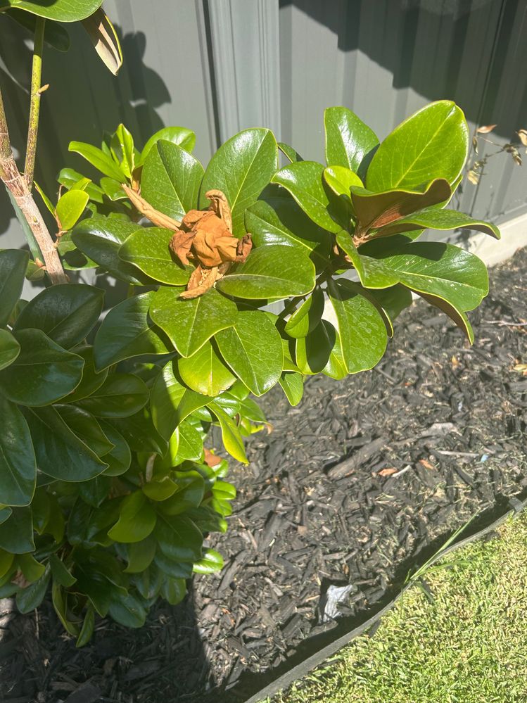 IMG_3268.jpeg IMG_3268.jpeg