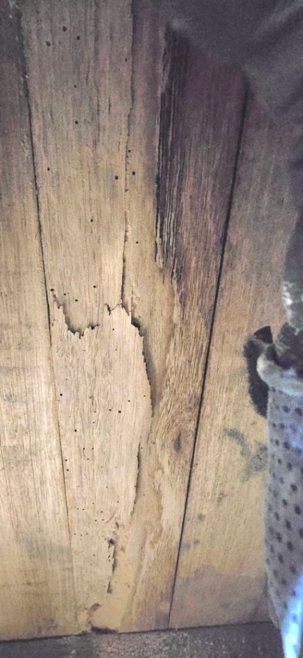 20250517_134903.jpg 20250517_134903.jpg