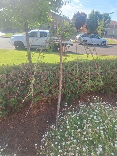 1000017367.jpg 1000017367.jpg