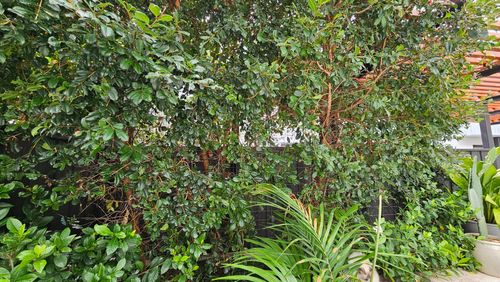 1000023882.jpg 1000023882.jpg