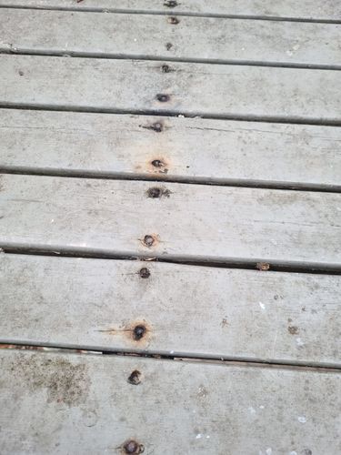 1000072039.jpg 1000072039.jpg