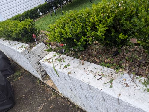 1000029922.jpg 1000029922.jpg