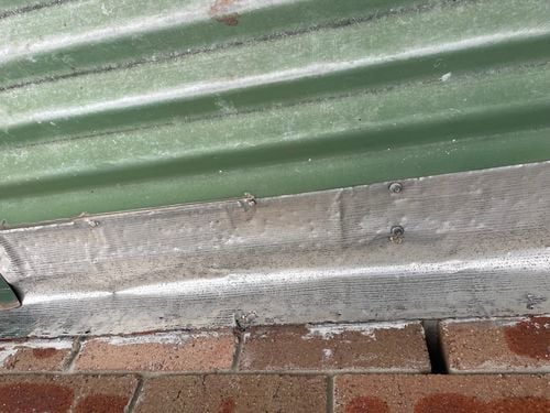 IMG_6149.jpeg IMG_6149.jpeg