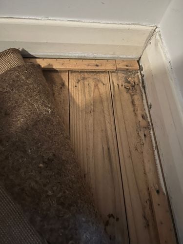 IMG_6220.jpeg IMG_6220.jpeg