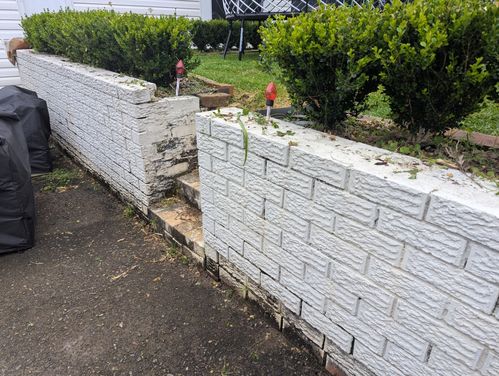 1000029921.jpg 1000029921.jpg