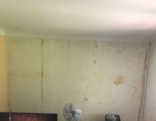 0AB35D86-7E57-4763-95FA-97F3932FF93F.jpeg 0AB35D86-7E57-4763-95FA-97F3932FF93F.jpeg