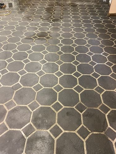 IMG_5353.jpeg IMG_5353.jpeg