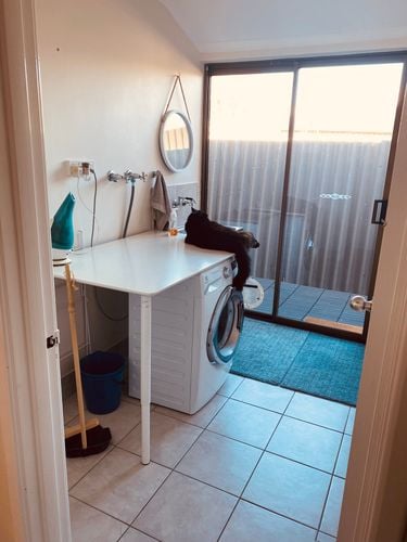 IMG_5965.jpeg IMG_5965.jpeg