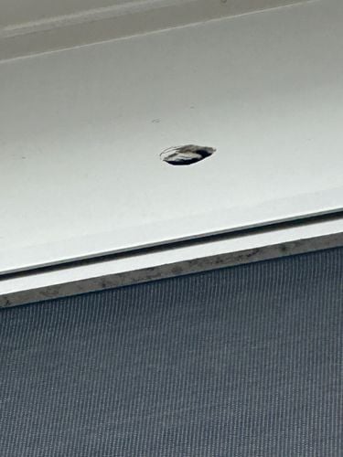 IMG_1337.jpeg IMG_1337.jpeg