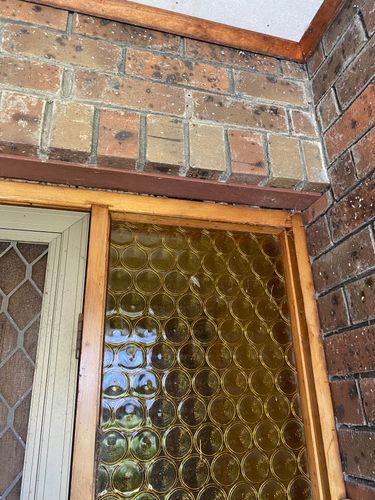 IMG_5611.jpeg IMG_5611.jpeg