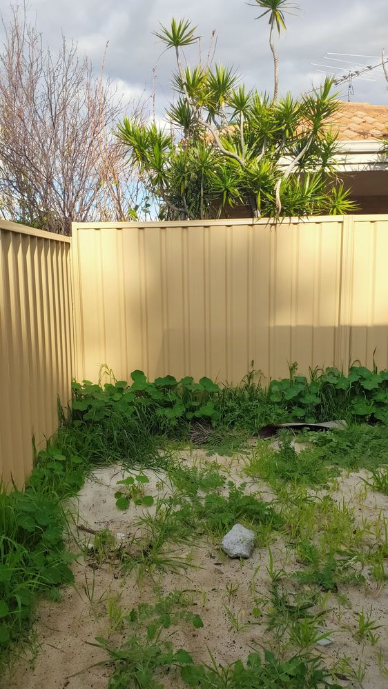 IMG20240809153002.jpg IMG20240809153002.jpg