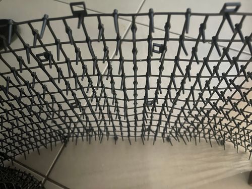 IMG_9259.jpeg IMG_9259.jpeg