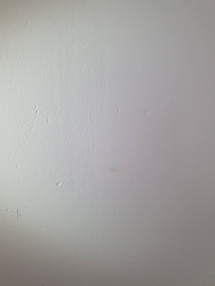 20240811_101631.jpg 20240811_101631.jpg