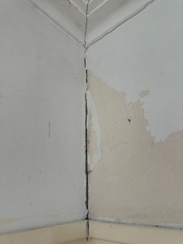 IMG_4260.jpeg IMG_4260.jpeg